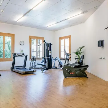 公寓式酒店 Hapimag 弗利姆斯